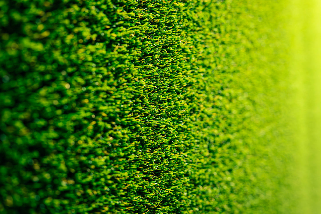 Is Artificial Turf Safe? What to Know About Lead, PFAS, and Toxicity