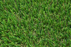 SPRING MEADOW (12FT)