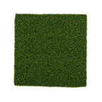 SPORTMAXX® 36 2CN