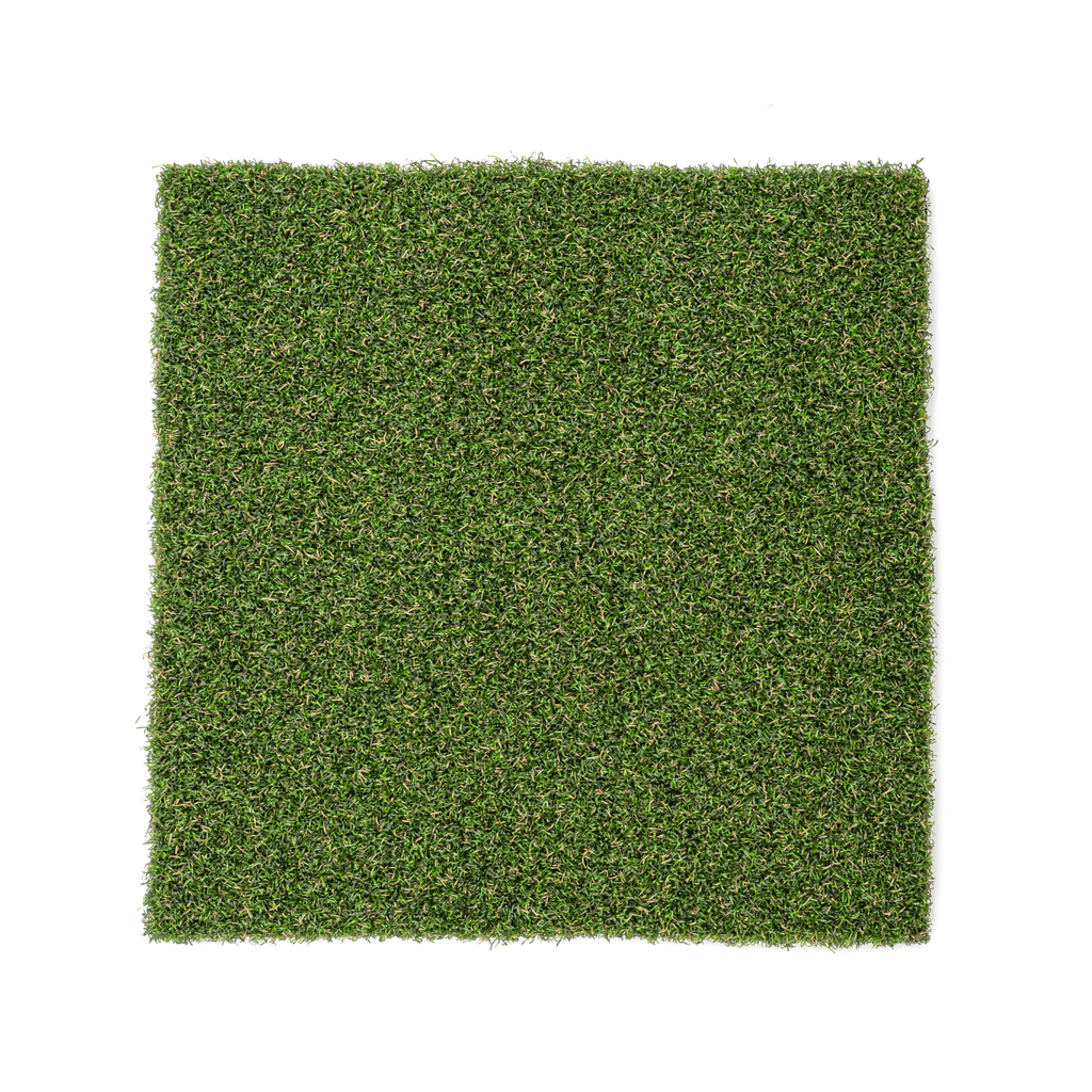 SPORTMAXX® 36 3CN