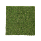SPORTMAXX® 36 3CN