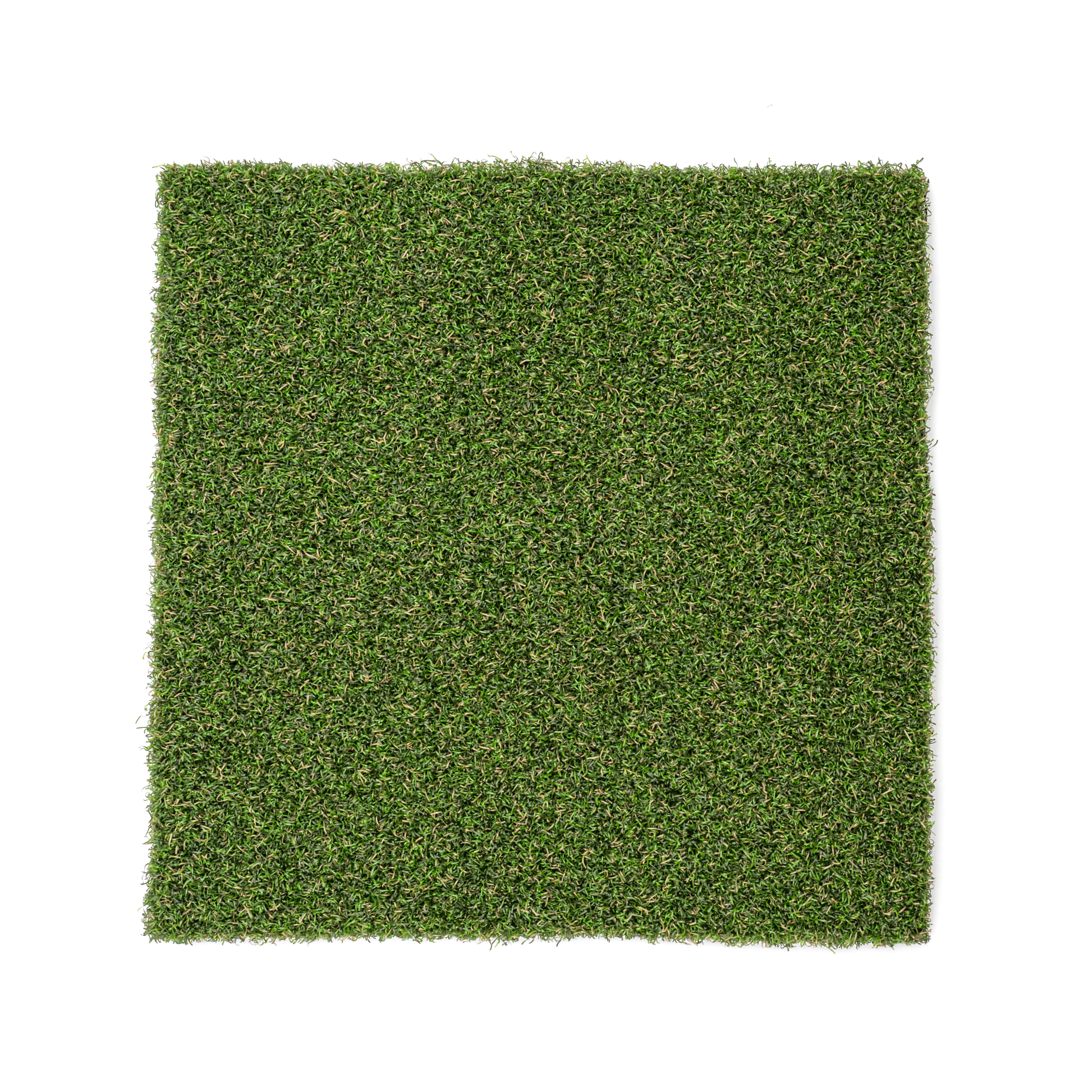 SPORTMAXX® 36 3CN